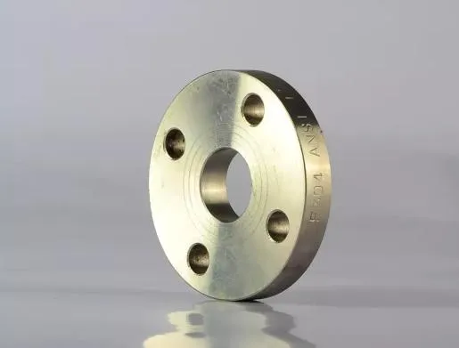 A105 ASME B16.5 FF RF Wn Carbon Steel Socket Forged Stainless Steel Pipe Weld Neck Wn Flange